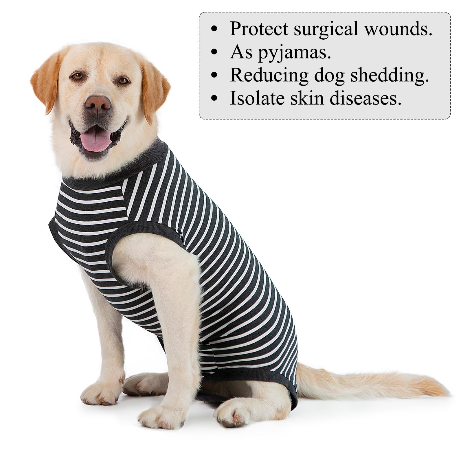 Combinaison de convalescence pour – Combinaison post-opératoire avec double couche pour la récupération opérationnelle du chien