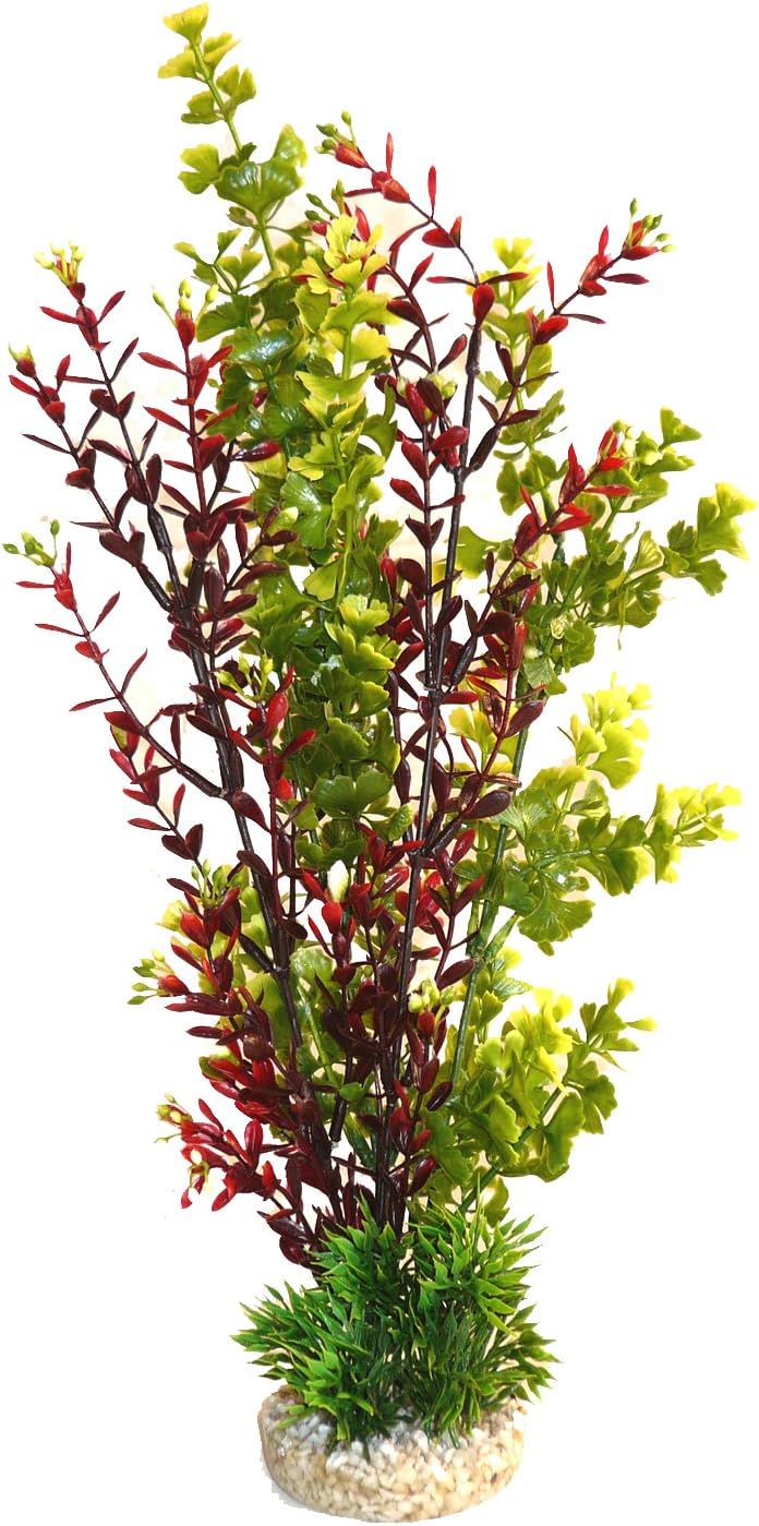 SydecoAquarium Plant Aqua Flower Plant Height 35 cm Green/Red