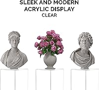 Vista 15 de Acrylic Display Riser Box Clear Plexiglass 12" x 12” x 19” No Lid Hollow Pedestal 5 Sided Display Trinkets Flowers Dust Cover Bin Collectible Items