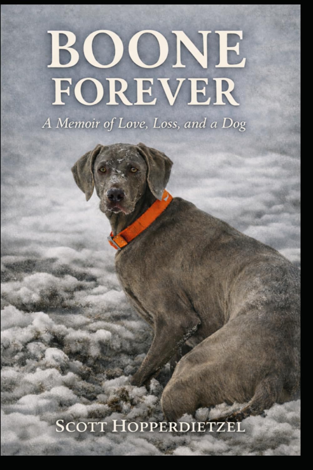 BOONE FOREVER: A Memoir of Love, Loss, and a Dog