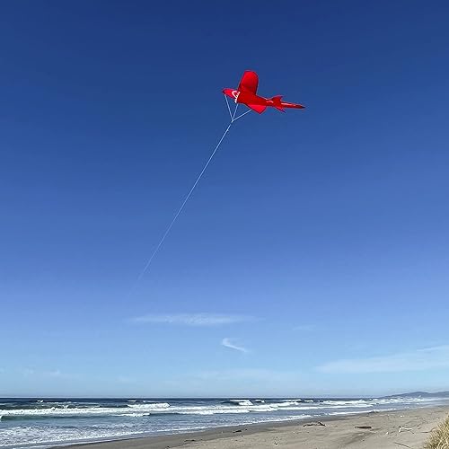 Miniatura 10 de In the Breeze 3D Shark Kite