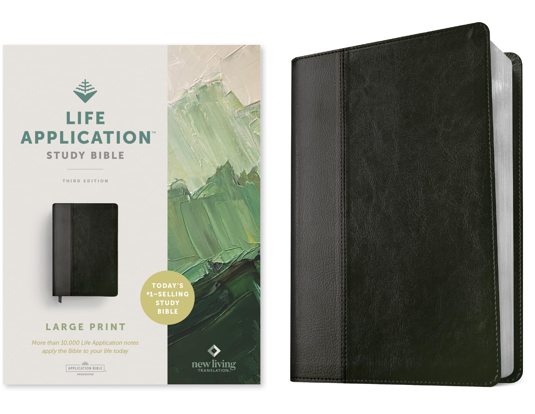 NLT Life Application Study Bible, Third Edition, Large Print ... - 9781496439376