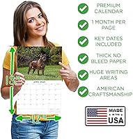 Vista 1158 de Razas de Perros 2017