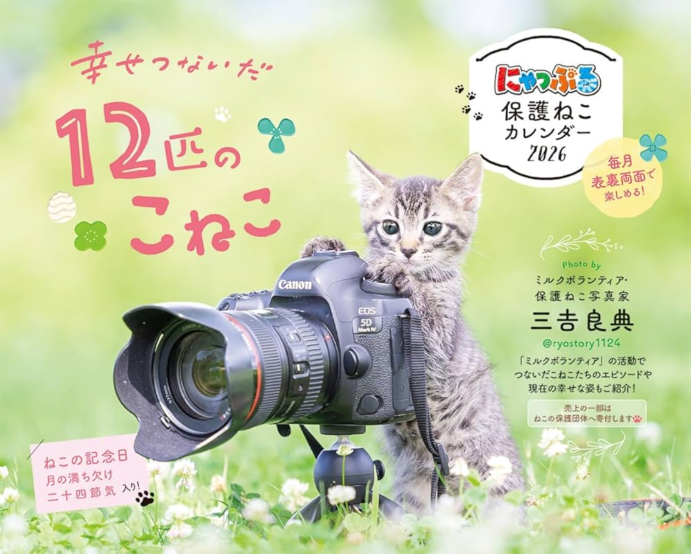 Amazon.co.jp: にゃっぷる 保護ねこカレンダー2026 卓上版「幸せつない