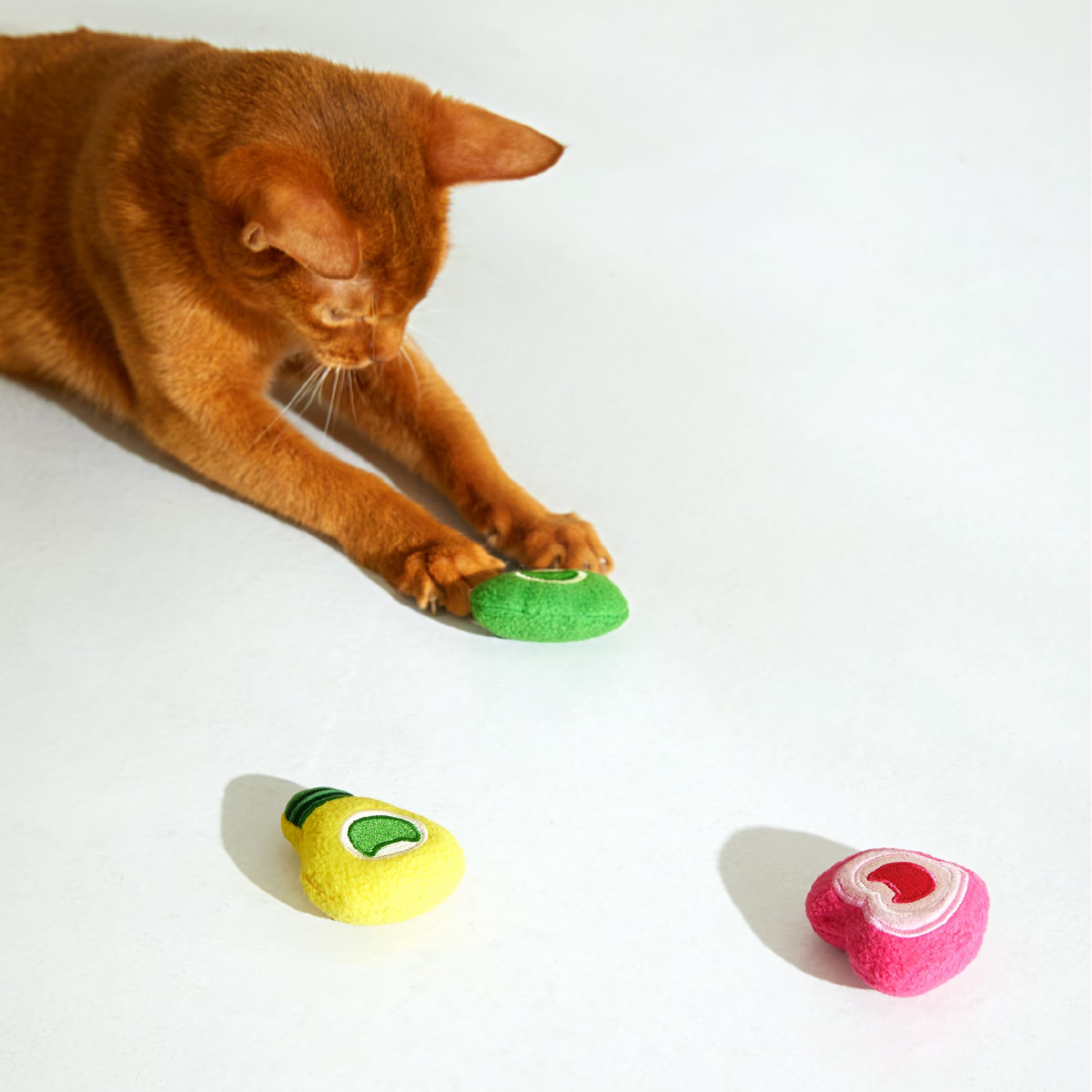 CaatDaDa Cat Talent Plush Toy, Cat Dental Catnip Mesh Toy, 3-in-1 Pack