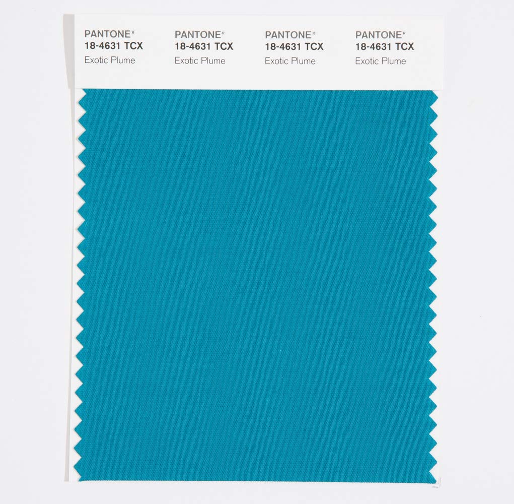 Amazon.com: Pantone Cotton Swatch 18-4631 Exotic Plume : Tools