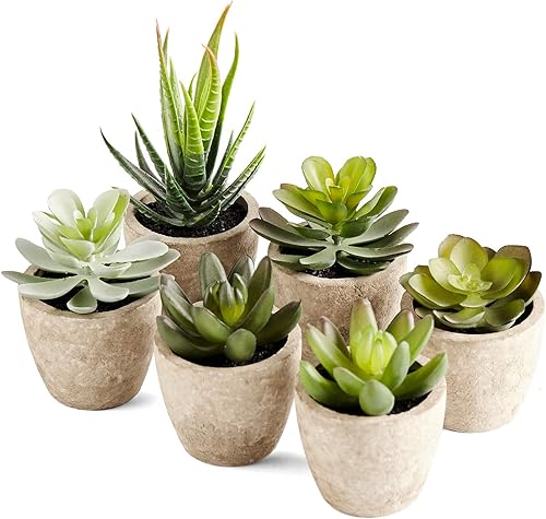 Miniatura 2 de PRIMAISON Juego de 6 plantas suculentas artificiales en maceta, plantas suculentas falsas decorativas, plantas de plástico sintético para interiores