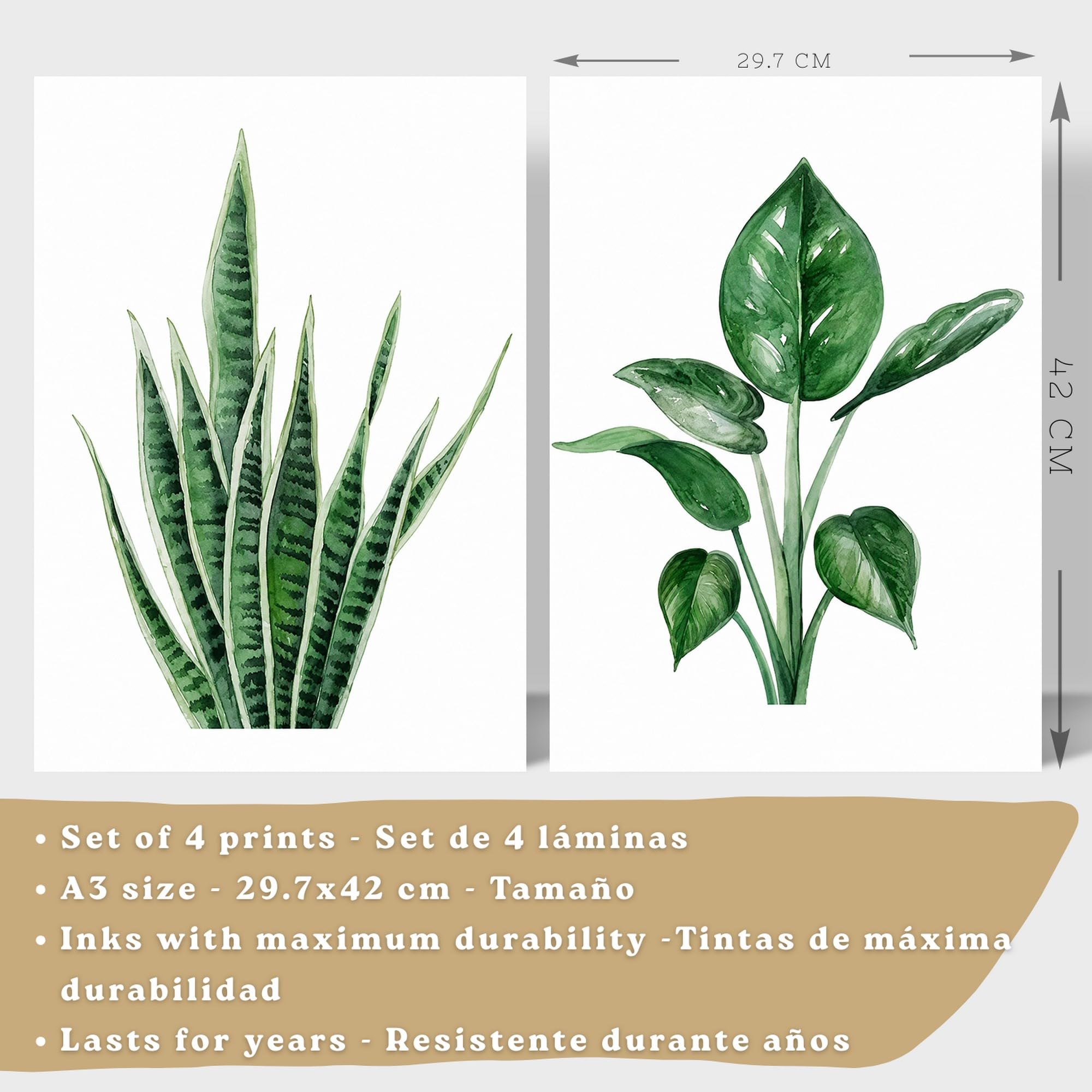 Nacnic Pósters Botánicos Tropicales con Hojas Verdes y Cactus