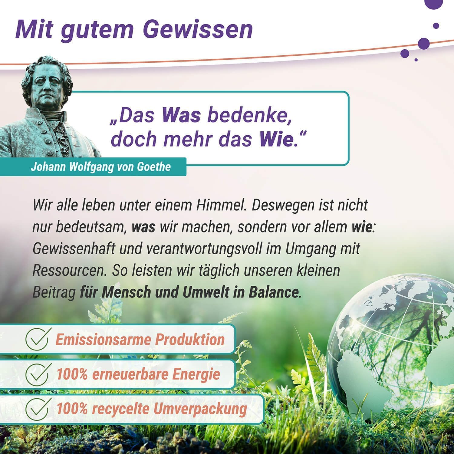 probio6 Kapseln | 6 ausgewählte Premium Bakterienkulturen | 30 Kapseln Monatsversorgung | Darmbakterien | Ohne Inulin