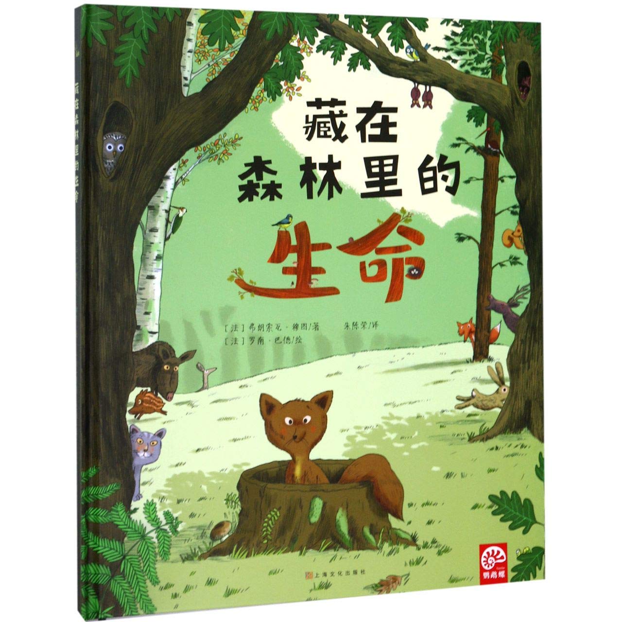 product_img5