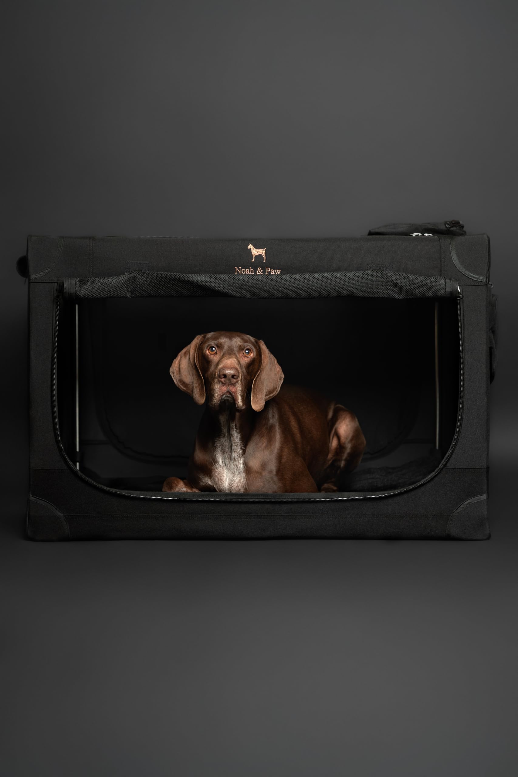 Noah & Paw Gabbia pieghevole per cani 36", gabbia XL per razze medie‑grandi, trasportino auto, tappetino incluso, 2 tasche, borsa, cerniere 10 mm 36x25x23