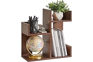 Cactus Bookshelf for Unique and Space-Saving Organization