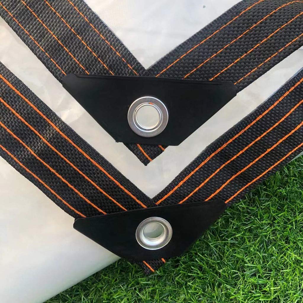 Lona impermeable exterior y película de plástico para lluvia transparente