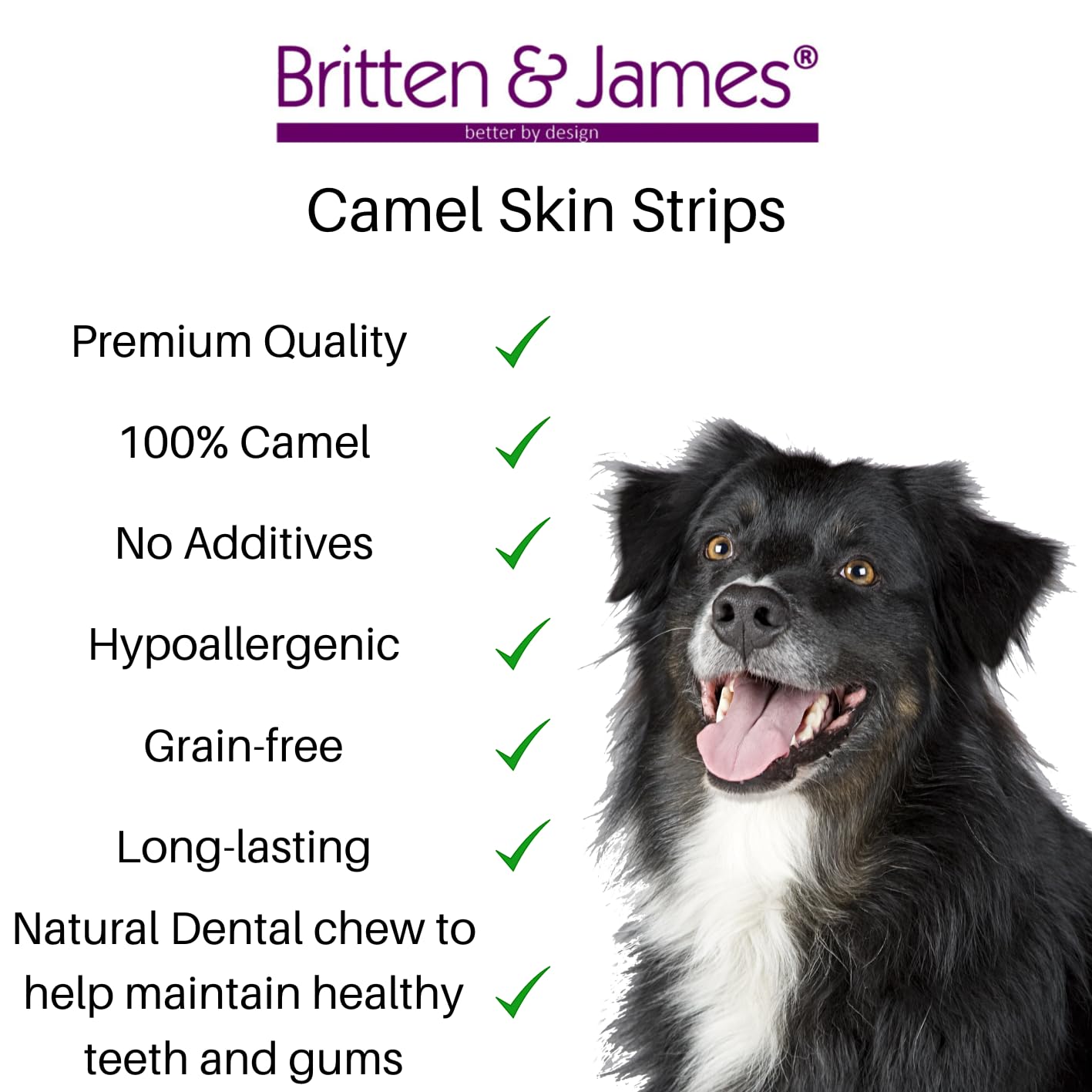 10 Premium Camel Skin Strips for Dogs by Britten and James (350g approx). Natural, Grain Free, Long Lasting Dental Chew and Treat - Image 2