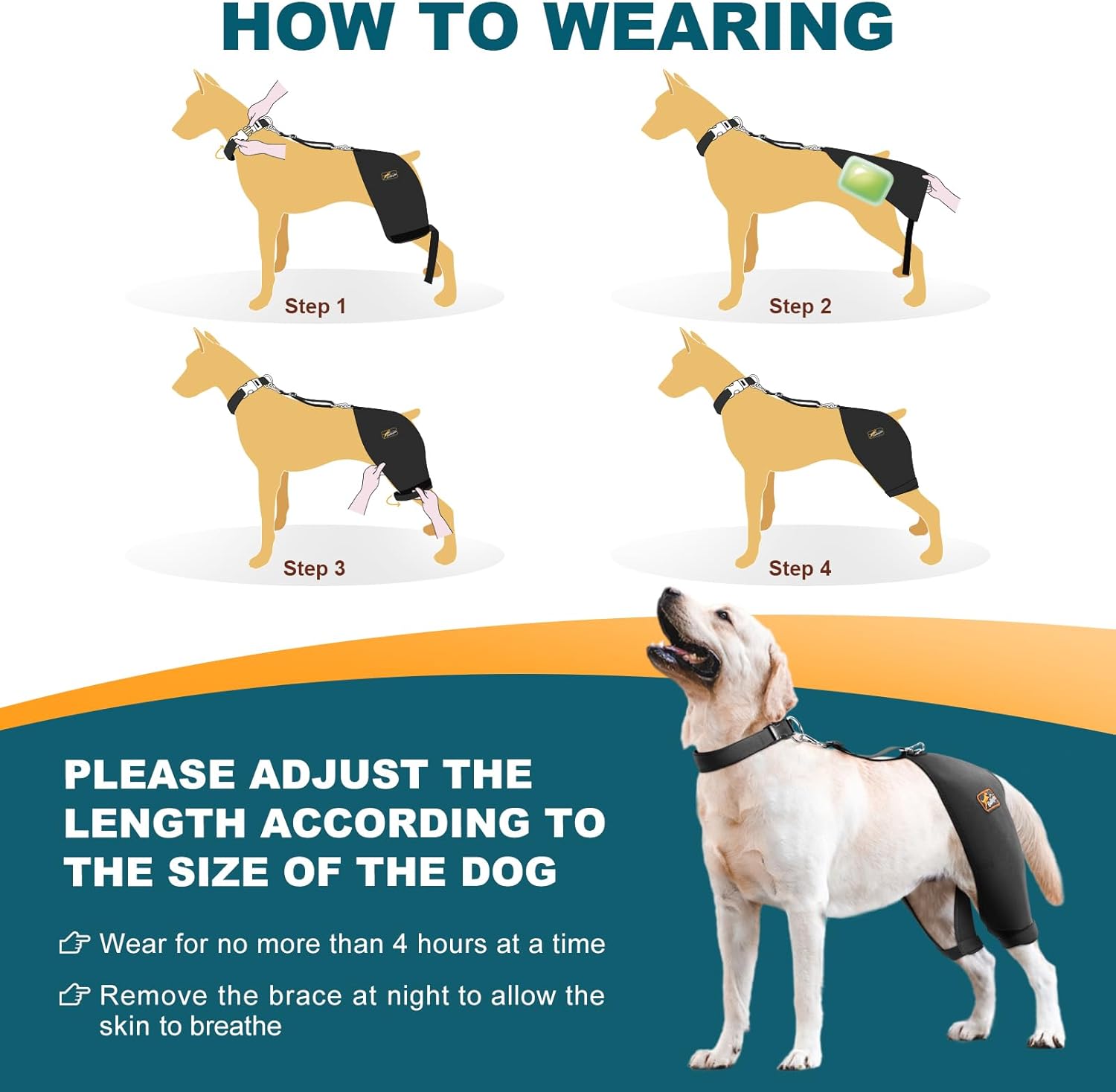 Dog Hip Brace with Hot/Cold Compress, Support for Hip Dysplasia, Arthritis, Back Leg limping, Prevents Hip Joint Issues, Reduce Hip Pain etc(Male Dog, XL)