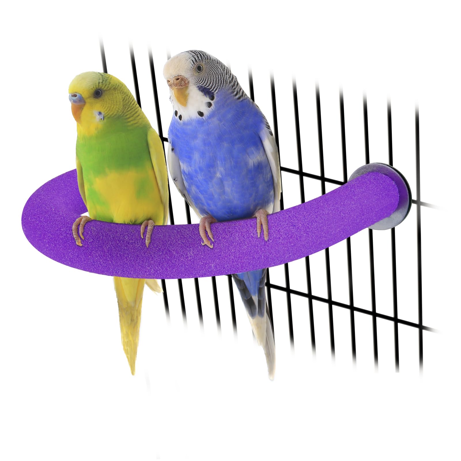 RYPET U-Shaped Parrot Perch, Quartz Bird Perch for Cage(Purple S)