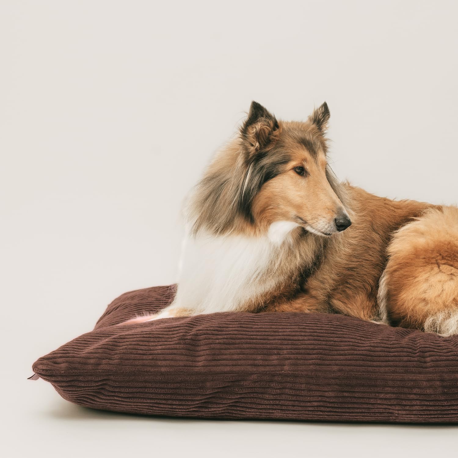 4L Textil Molly Hundebett Hundekissen aus Cord waschbar | Abnehmbarer Bezug