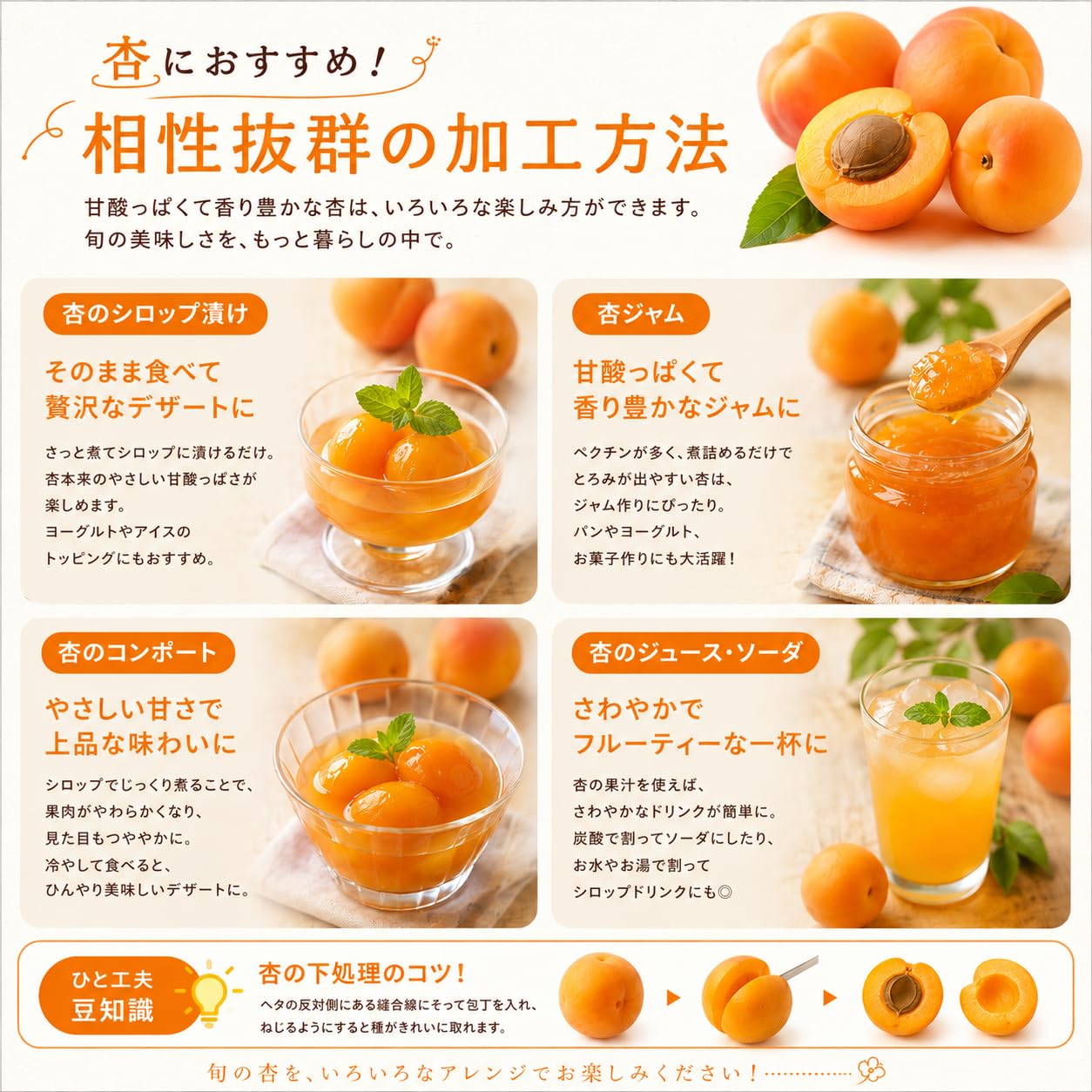 ★平和10kg 信州産 あんず　杏　生あんず　アプリコット Amazon.co.jp: 生あんず 杏 アプリコット 信州産 (10キロ, クール便