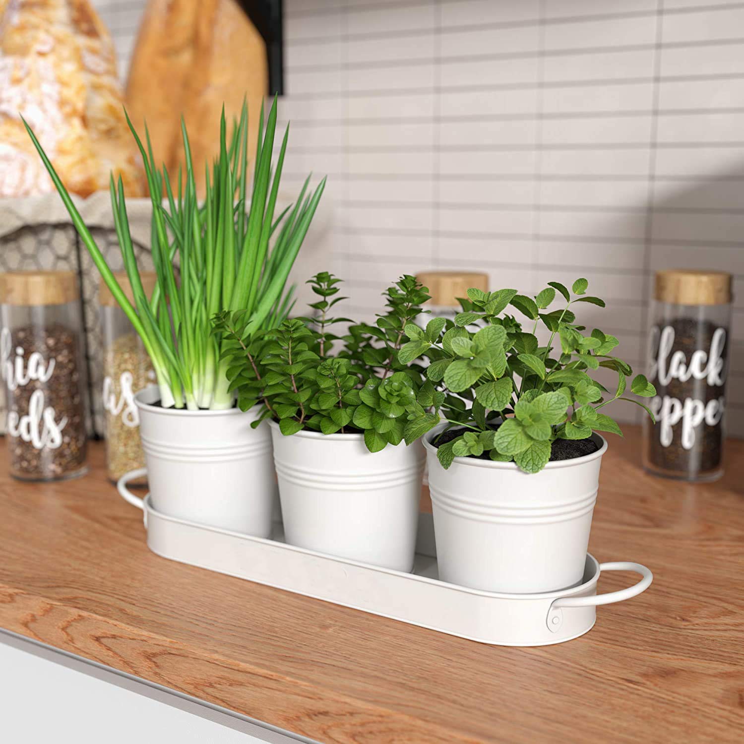 See full amazon price history chart for MORii ® Set of 3 Metal Pot Planter Soft White with 1 White Tray tub |Indoor Plant Planters| Plants Gardening Pots Flower Garden Large MORii ® Set of 3 Metal Pot Planter Soft White with 1 White Tray tub |Indoor Plant Planters| Plants Gardening Pots Flower Garden Large (B08FFW3NVK) Amazon Price History, Amazon Price Tracker