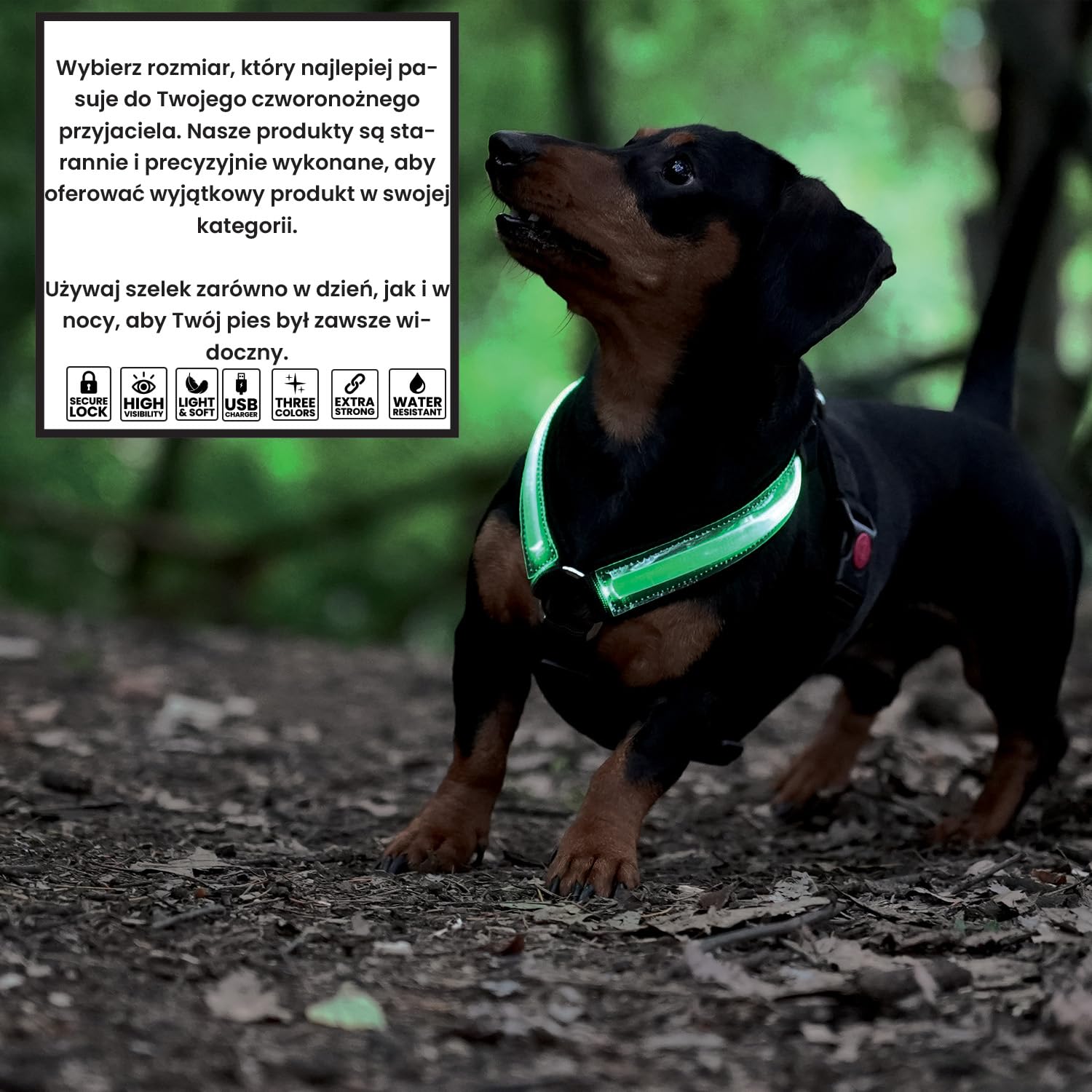 Szelki LED Luminous Pettystore dla psa, wodoodporne z akumulatorem ładowanym przez USB - do 10 godzin pracy na baterii- Wygodne szelki neoprenowe dla psów średnich i dużych. (S Czerwony)