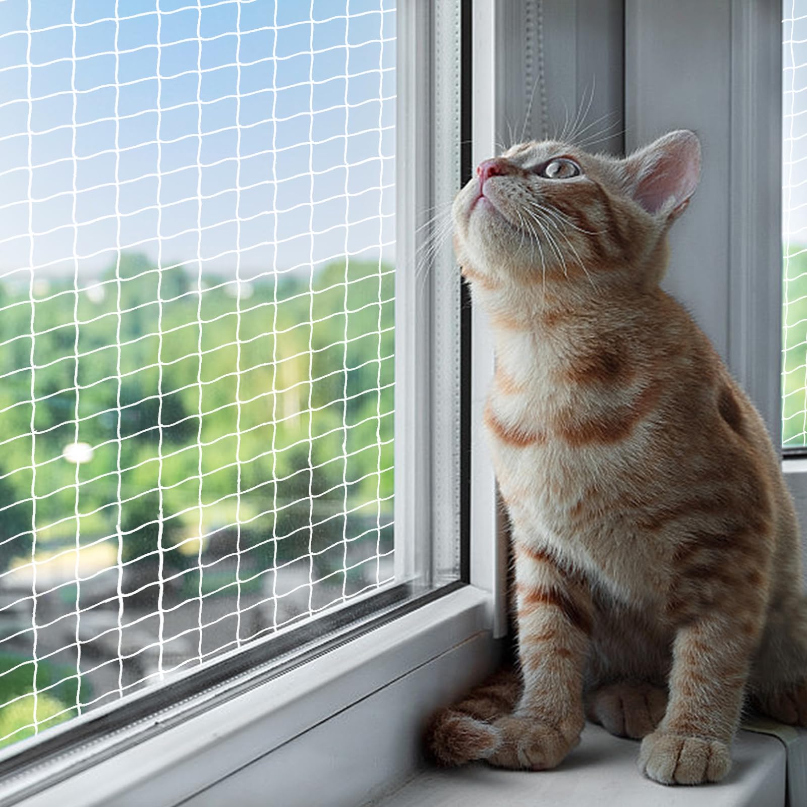 Rete Per Gatti Balcone 5x5m - Maglia 2.5cm, Trasparente E Resistente - Foto 7