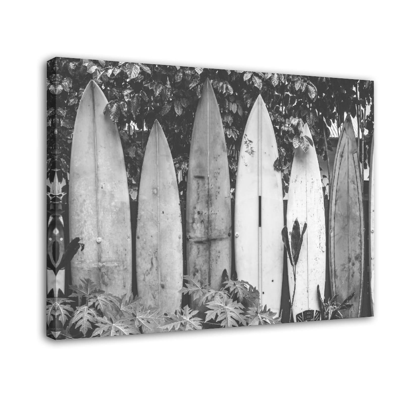 Vintage Surfboard Photography