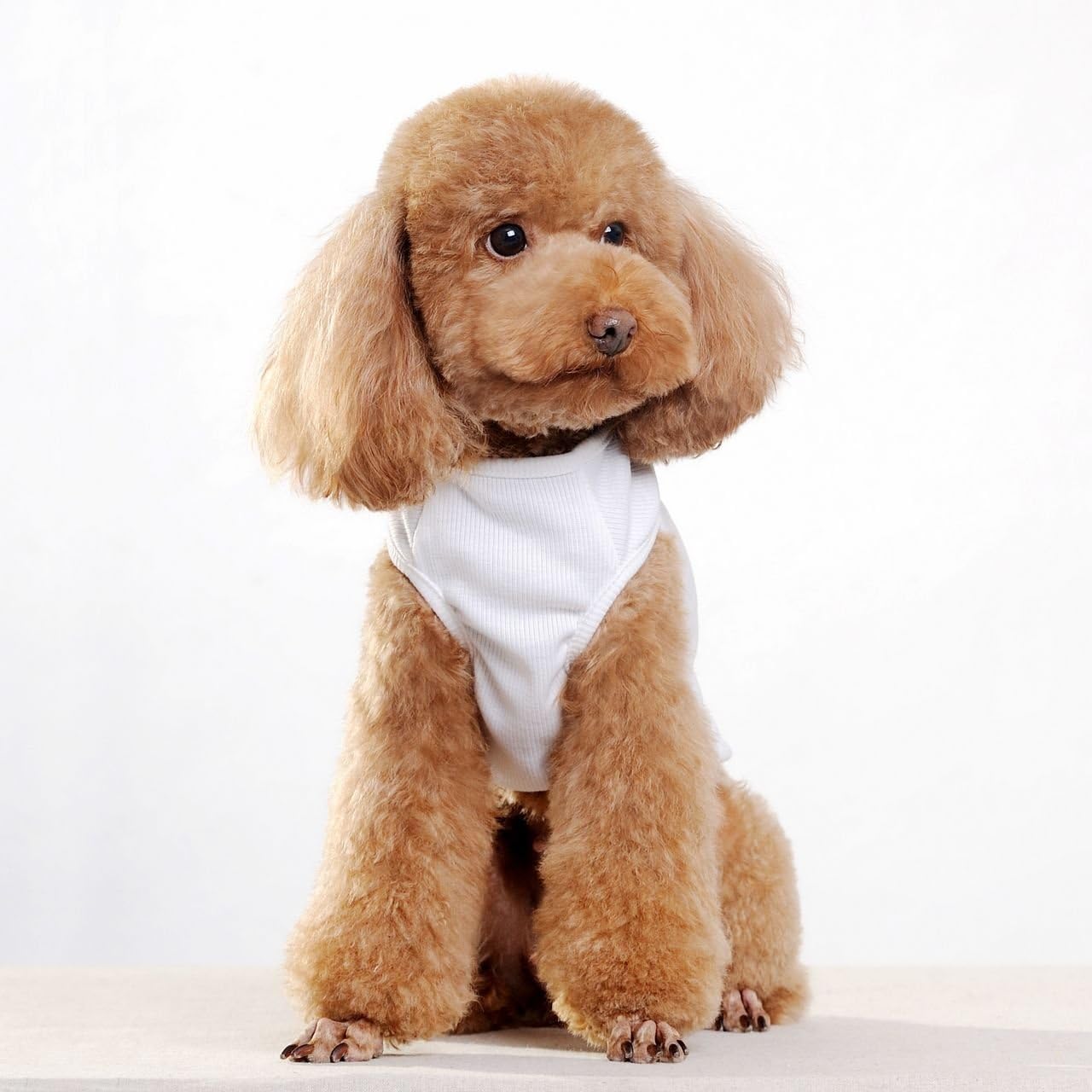 CheePet Pet Clothes I LOVE MY MOMMY Dog T-Shirt Medium size,Excellent gift for dogs and dog lovers