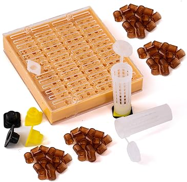 Beekeeping Queen Rearing Nicot System Plastic Frame Cell Bar Blocks and Caps Beehive Cups 110 Cell Cups for Apiculture