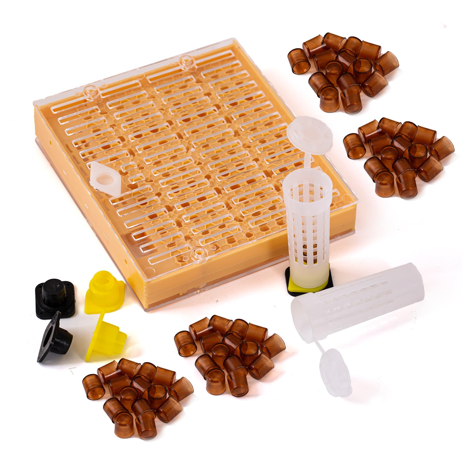Kit Apicoltura 7 Pezzi Completo – Attrezzi Per Apiario Con Gabbia Regina, Spazzola E Forcella - 2
