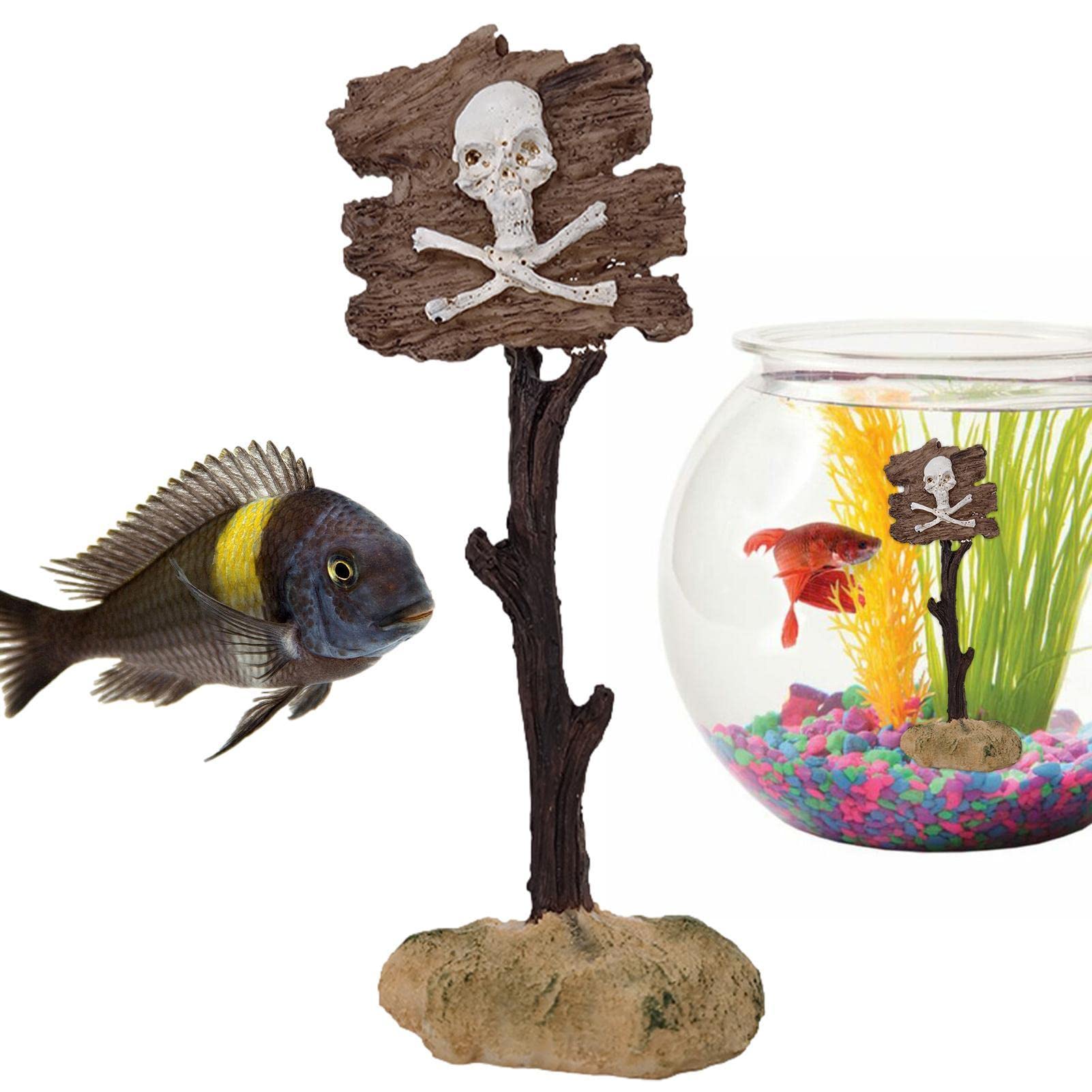 Funny Fish Tanks Neue Mode Kreative Aquarium Dekoration Wohnzimmer