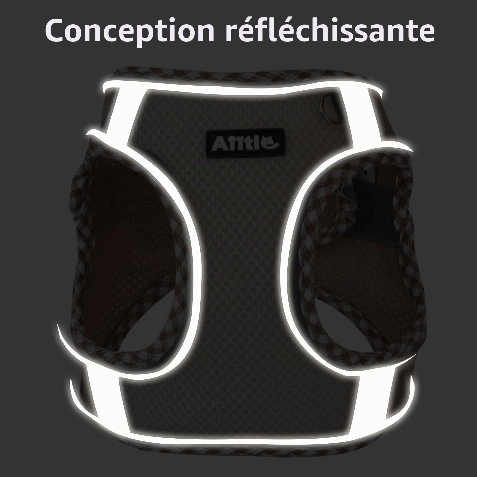 AIITLE Ensemble Harnais et Laisse pour Chien pour la Promenade, Harnais pour Chiot, Bandes réfléchissantes, pour très Petits Chiens et Chats domestiques Marron-Beige XXXS
