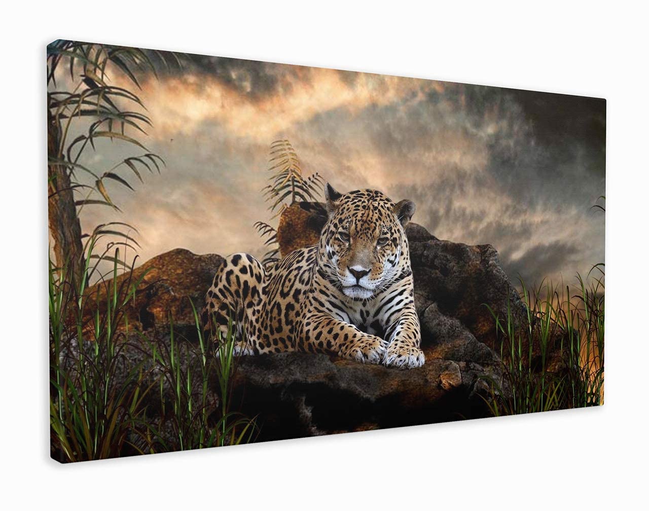 Wild Jaguar Resting On Rocks Canvas Wall Art Nature Prints Room Decoration Animal Pictures Home Art Photos For Office (30x20 Inch)