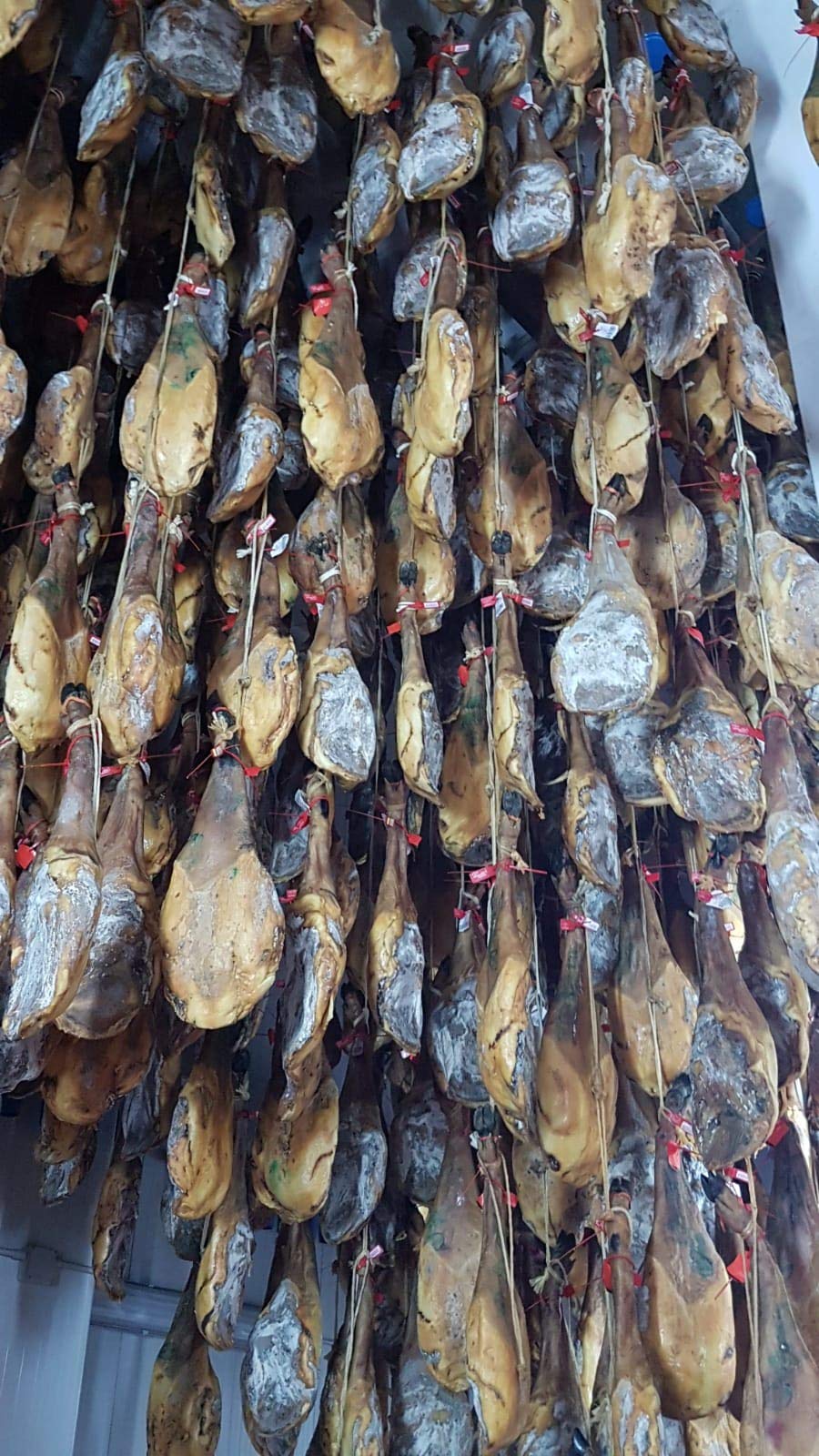 INSIGNIA IBERICA- 5 Kg Jambon Iberique (Épaule) - (109 €) PATA NEGRA 100% naturel - Originaire de porcs ibériques élevés en plein air à Dehesas - Epaule Iberique Espagnol -
