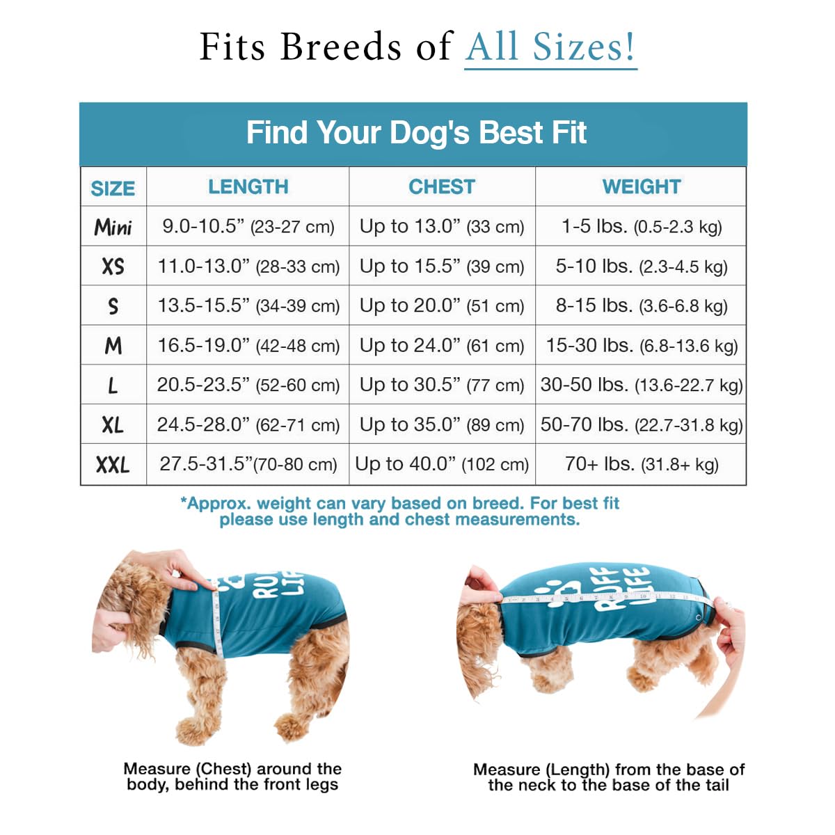 BellyGuard Dog Surgery Suit for Male and Female, Onesie for Dogs