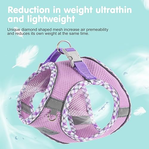 Miniatura 4 de TomteNisse Juego de arnés y correa para perro, arnés sin tirones para perros pequeños, fácil caminar, suave y transpirable, arnés para perros