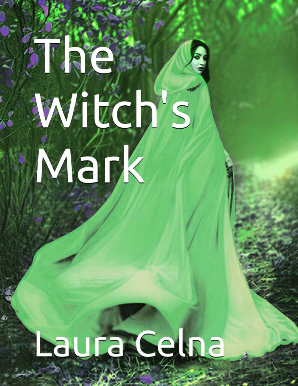 The Witch's Mark: 1 (The Spellmarked Chronicles)