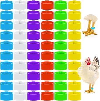 180pcs Chicken Leg Bands, Multicolor Chicken Leg Rings, 16 mm Clip On Chicken Identification Leg Bands Poultry Leg Bands, Ankle Rings for Birds Ducks Chicks