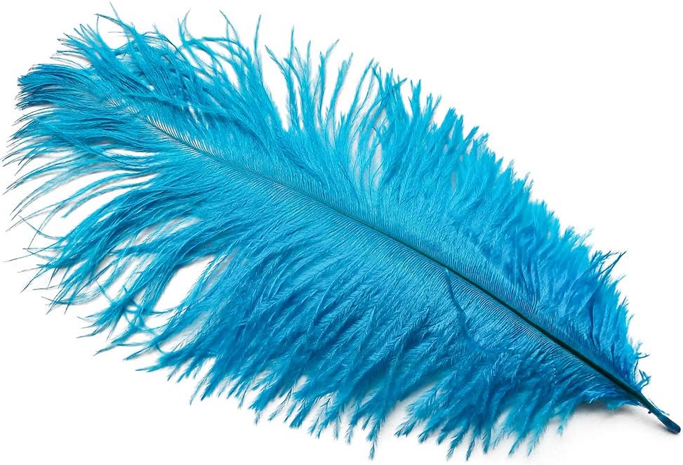 wanjin Ostrich Feathers 8-10inch(20-25cm) for Home Wedding Decoration DIY Craft Feathers per pack of 10 pcs(Turquoise)