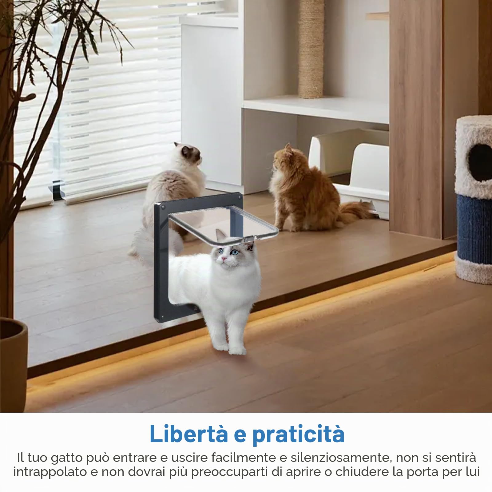 Roxanex Porta per gatti grande, 20 cm x 18,5 cm, facile da montare, per finestre sottili, porta di sicurezza per animali domestici con serratura a 4 vie, resistente alle intemperie, per armadietti