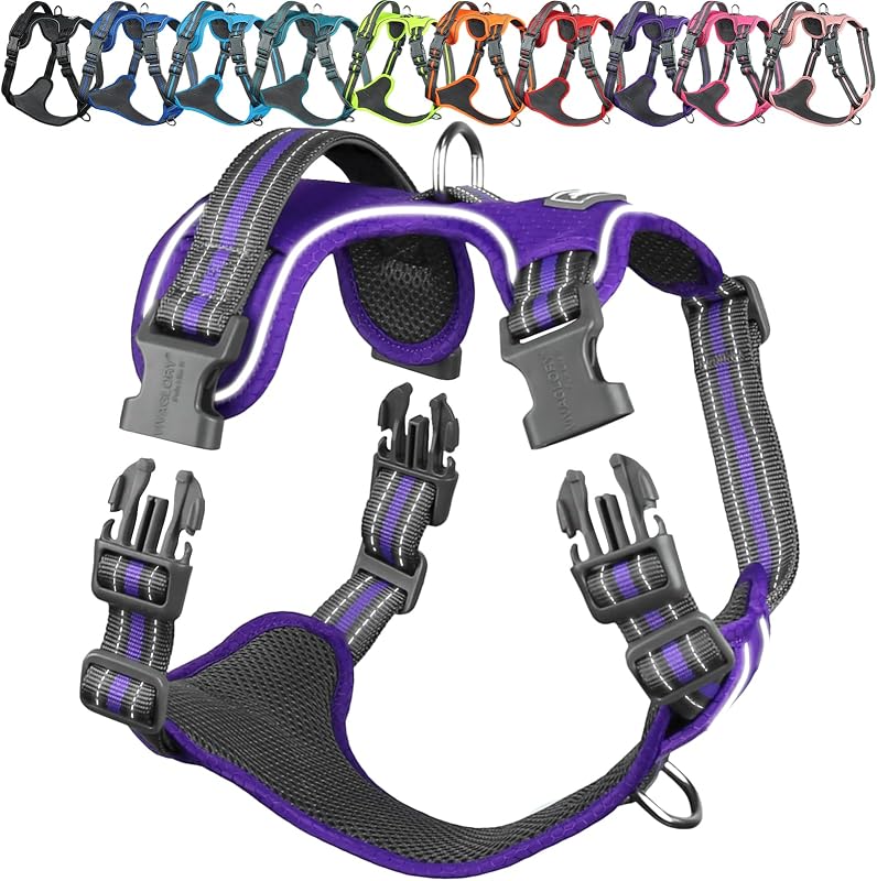 Peitoral Tipo Cabresto para Cães com Ajuste e Faixas Refletivas VIVAGLORY, S, Roxo com Estampa