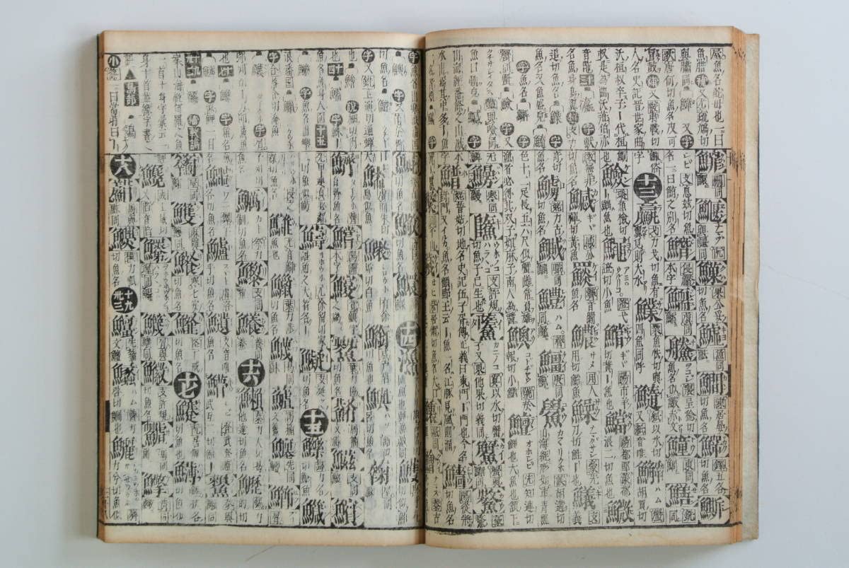 古い本、玉篇大全、アンティーク 古書 明治25年出版 廣集玉篇大全