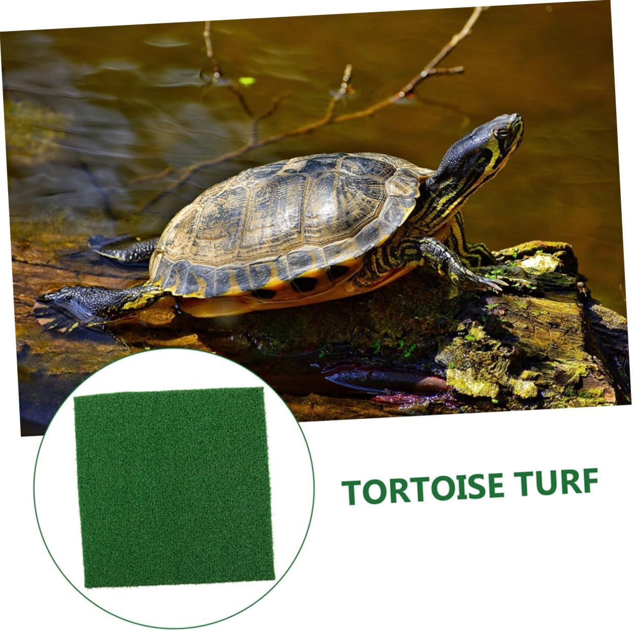 Turtle Floating Platform Ramp for Aquarium, Simple Climb Green Plastic