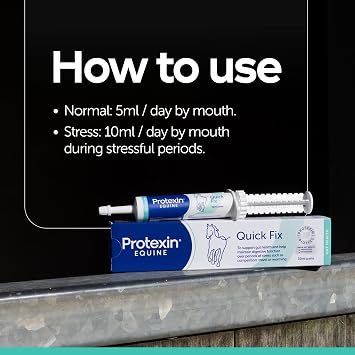 Protexin Equine Quick Fix for Horses & Ponies – Rapid Digestive Support Paste with Probiotics – Helps Settle Digestive Disturbances & Support Gut Flora – Peppermint Flavour – 30ml Syringe