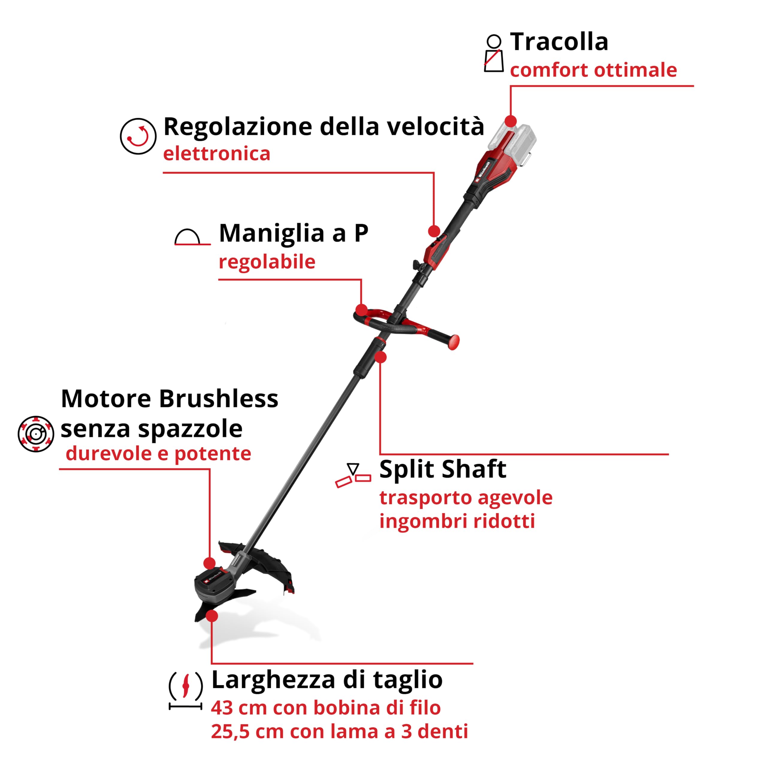 Einhell Professional Decespugliatore GP-BC 36/430 Li P BL - Solo Power X-Change (36 V, Brushless, larghezza taglio 43 cm, maniglia a P, bobina doppia, lama 3 denti, batteria esclusa)