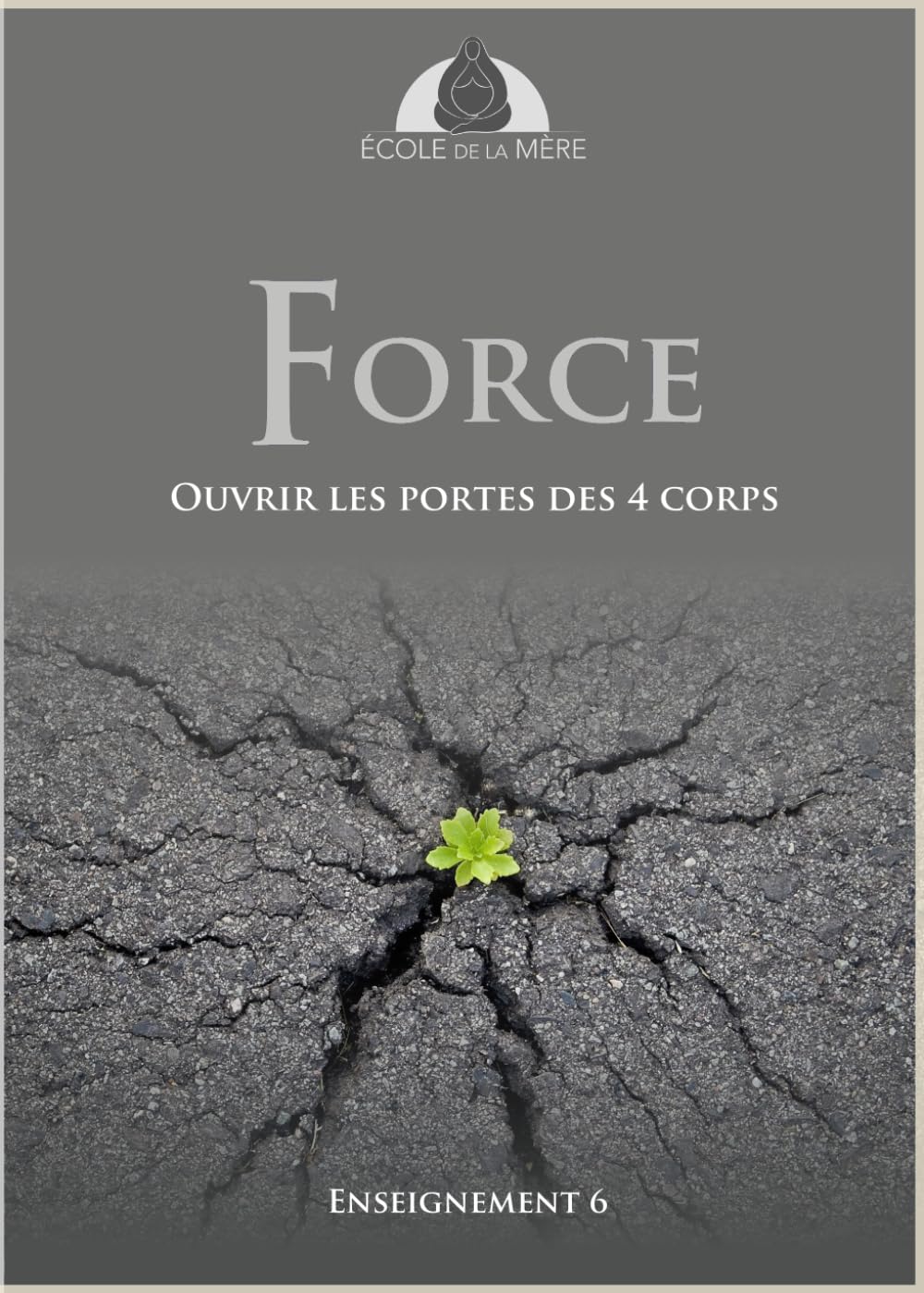 Force: Ouvrir les portes des 4 corps (École de la Mère)