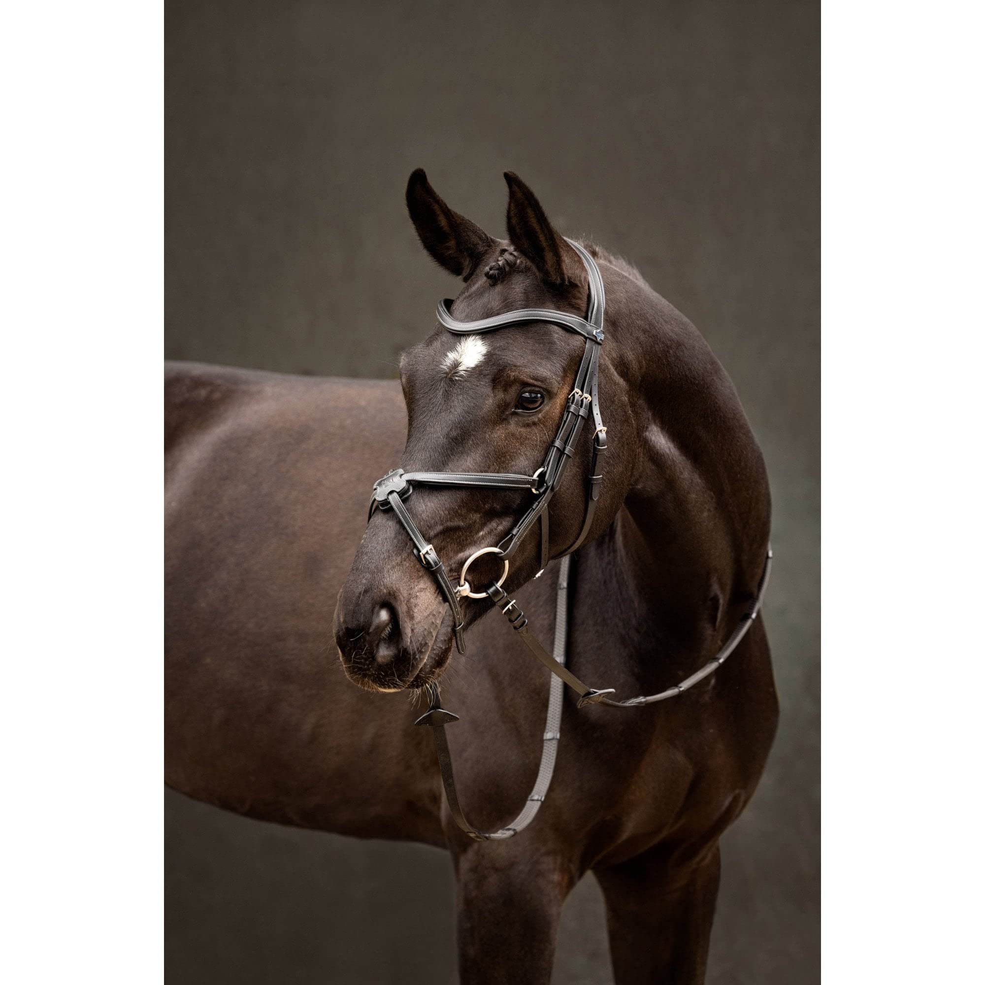 LeMieux Arika Grackle Briglia - Nero/Argento Cob