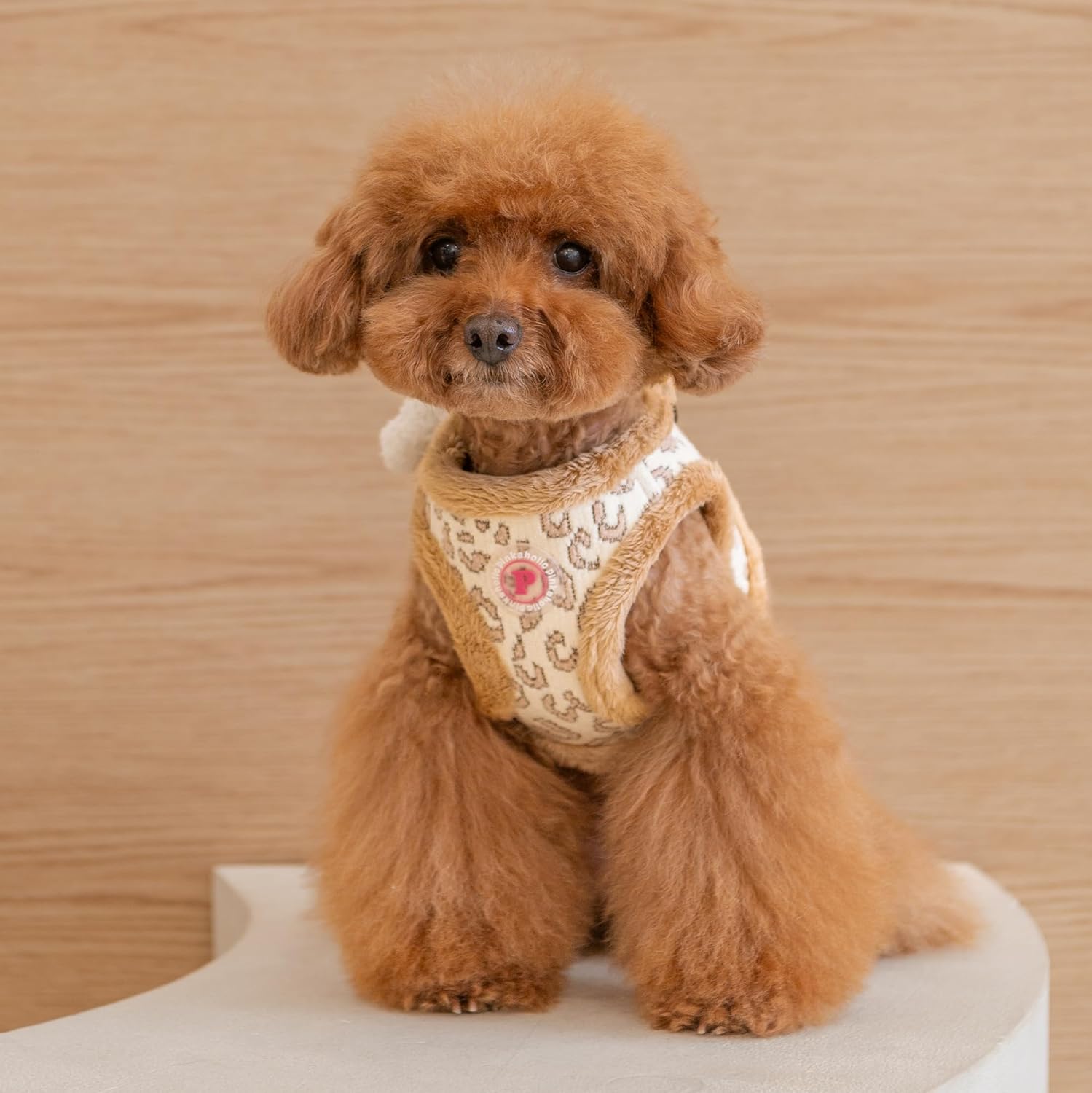 Pinkaholic New York Tailsy Vest Dog Harness Step-in Warm Winter Leopard Pattern for Small Dog, Beige, Small
