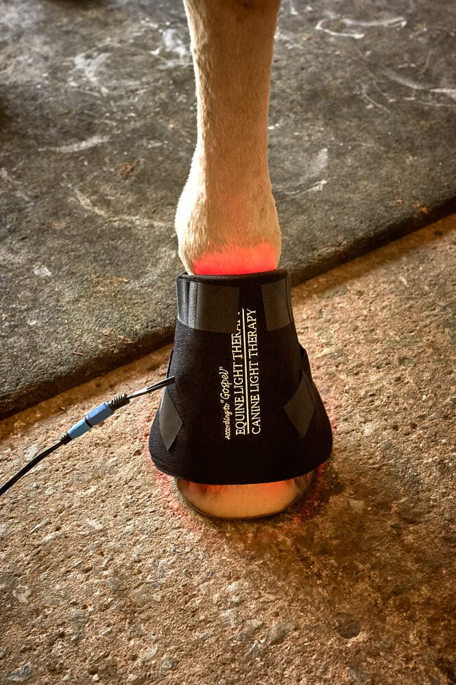 Gospel's Small Light Therapy Pad with Case