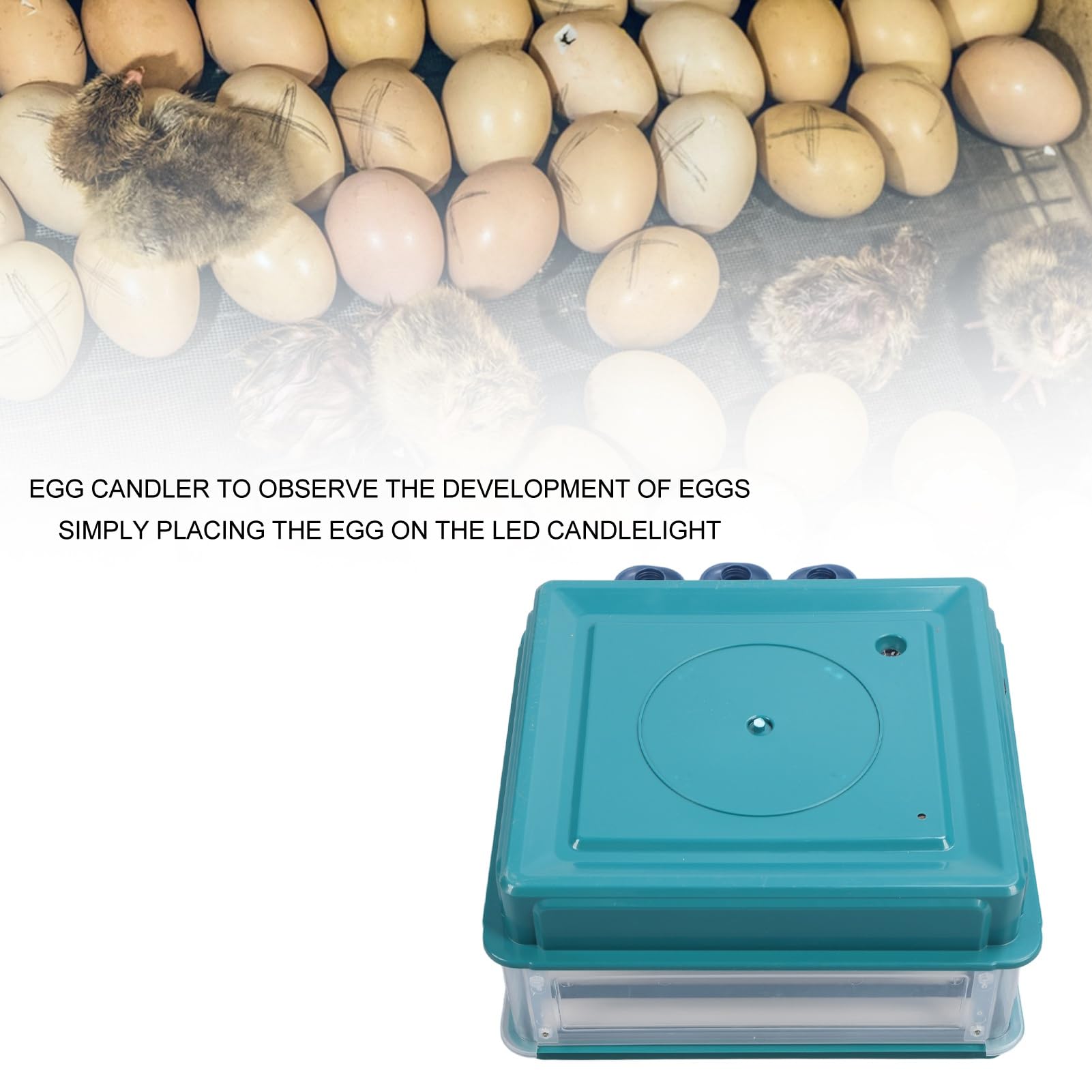 Controlador de Incubadora de Huevos, Controlador de Temperatura de Incubadora de Fácil Observación, Luz LED con Giro Automático para Laboratorios (Enchufe europeo 220V 38 huevos)