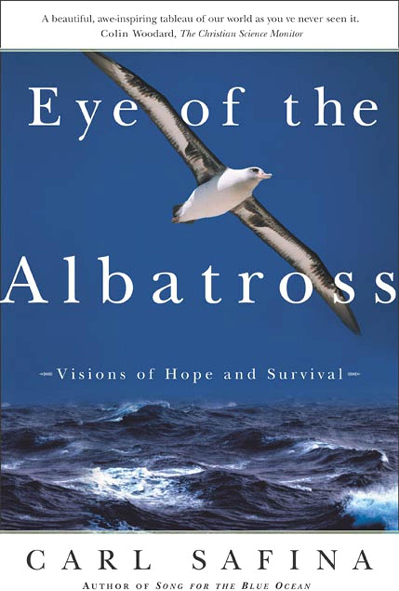 Eye of the Albatross: Visions of Hope and Survival
